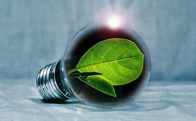 light-bulb light-bulb
