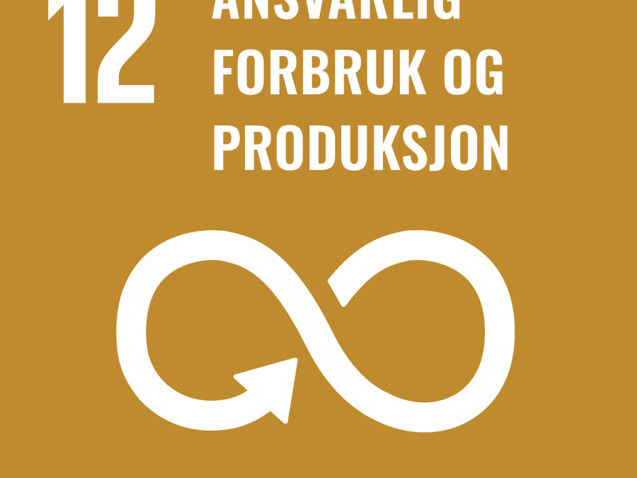 Møte med Team Bærekraft 25. Oktober